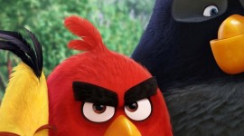 4K Angry Birds Wallpaper For IPhone