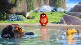 4K Angry Birds Wallpaper Gallery