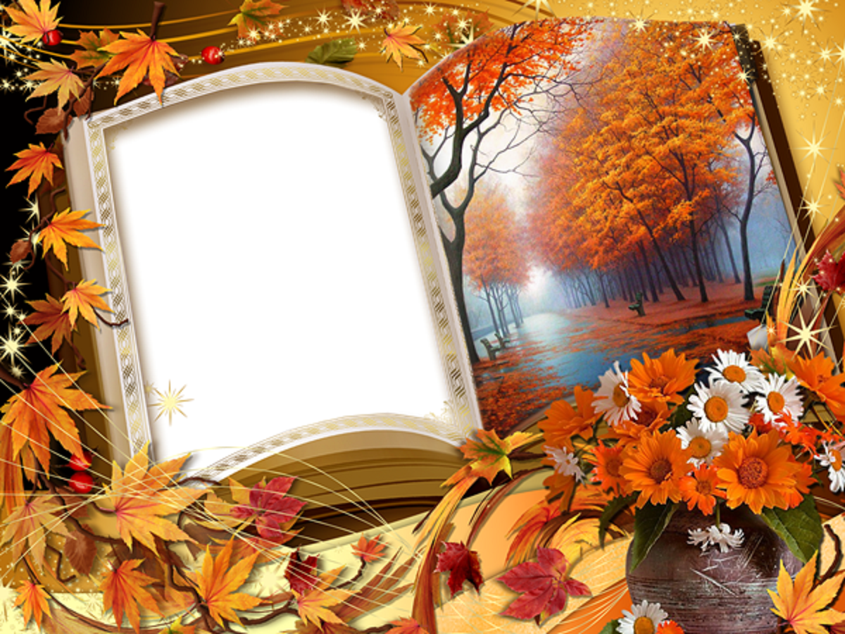 Autumn Frames Wallpapers High Quality Download Free