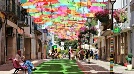 Colorful Umbrellas Photo Free
