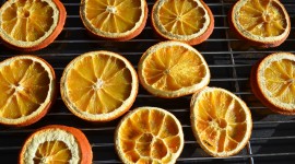Dried Oranges Photo Download