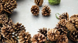 Garland Of Cones Wallpaper For IPhone