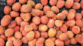 Lychees Wallpaper Gallery