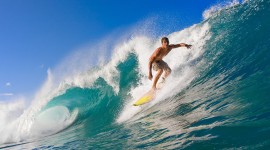 School Of Surfing Desktop Wallpaper HQ