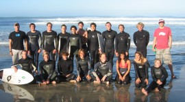 School Of Surfing Wallpaper