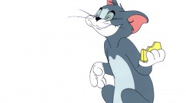 Tom And Jerry Spy Quest Image#2