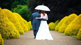 Wedding Parasols Photo