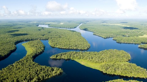 Amazon River wallpapers high quality