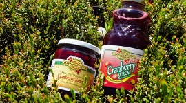 Cranberry Juice Wallpaper Full HD