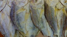 Dried Fish Photo Download
