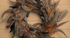 Feather Wreath Wallpaper