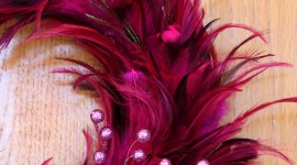 Feather Wreath Wallpaper For Android