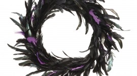 Feather Wreath Wallpaper For Android#2