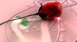 Glass Rose Desktop Wallpaper