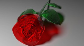 Glass Rose Desktop Wallpaper For PC