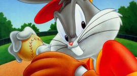Looney Tunes Rabbits Run Photo#1