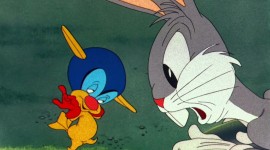 Looney Tunes Rabbits Run Photo#2