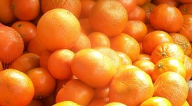 Mandarins Wallpaper For IPhone