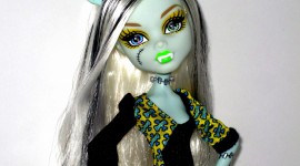 Monster High Freaky Fusion Photo#1