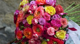 Multi Colored Bouquets Photo Free#2