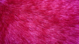 Pink Fur Wallpaper 1080p