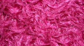Pink Fur Wallpaper HD