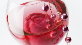 Rose In A Glass Best Wallpaper