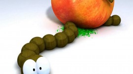 The Worm In The Apple Best Wallpaper