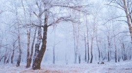 Winter Pictures Photo Download#3