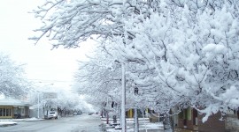 Winter Pictures Wallpaper Full HD