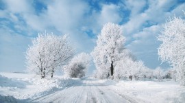 Winter Pictures Wallpaper HQ