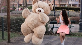 4K Teddy Bear Toy Photo