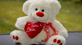 4K Teddy Bear Toy Photo Download