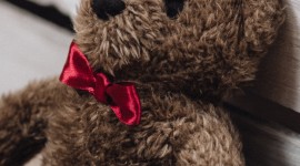 4K Teddy Bear Toy Wallpaper For Mobile