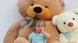 4K Teddy Bear Toy Wallpaper HQ#1
