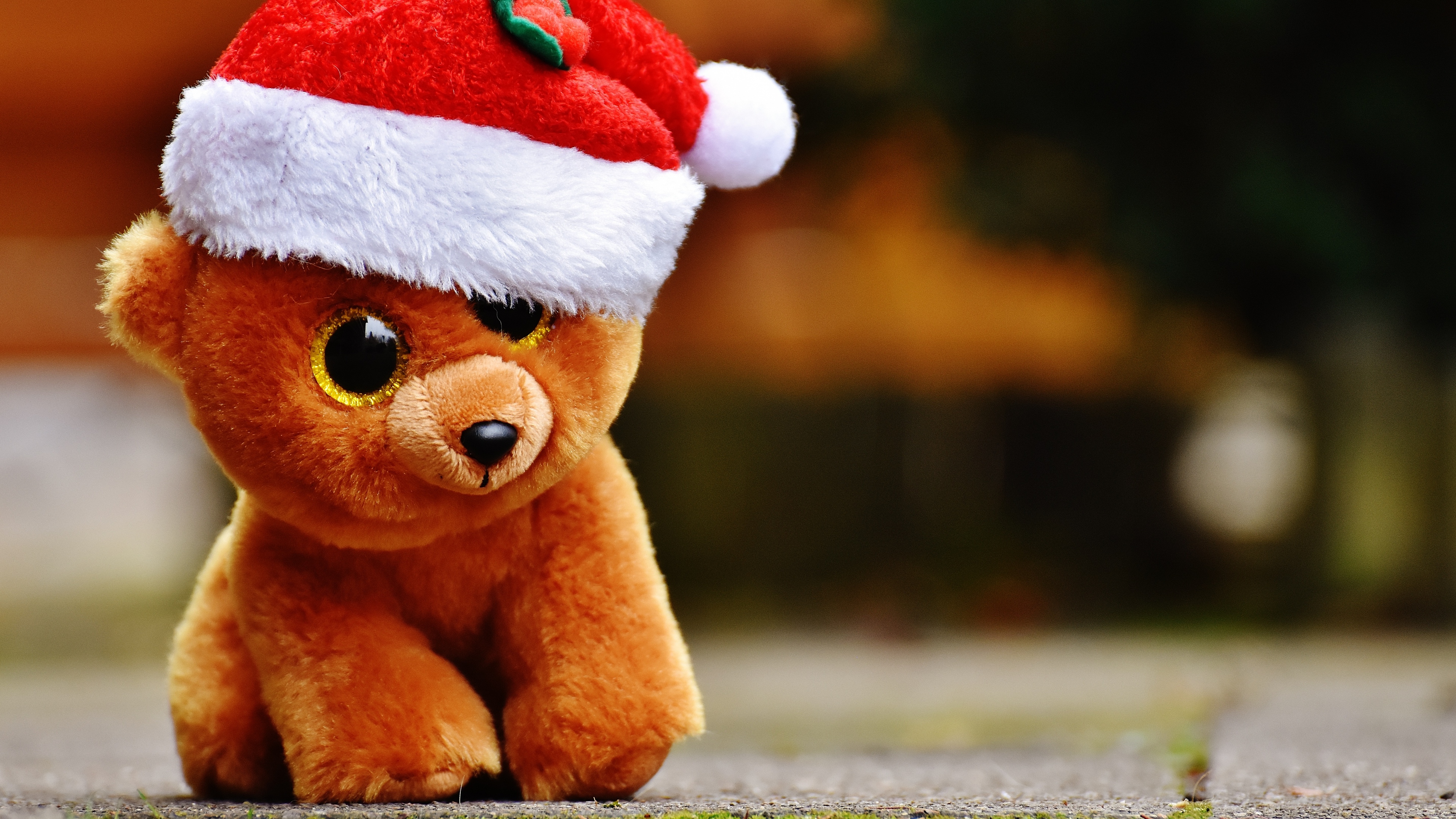 4K Teddy Bear Toy Wallpapers High Quality | Download Free