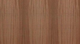 African Walnut Wallpaper For IPhone 6