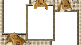 Dog Frame Desktop Wallpaper HD