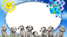 Dog Frame Wallpaper For PC