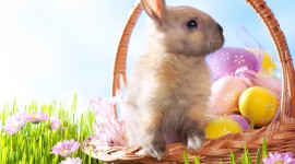 Easter Eggs Wallpaper For IPhone
