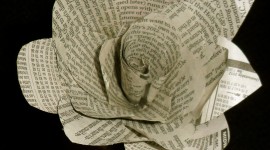 Flowers From Newspaper Wallpaper For PC
