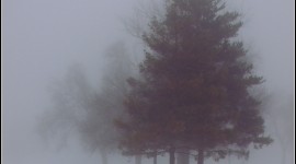 Fog Wallpaper For IPhone