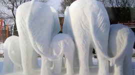 Ice Sculpture Wallpaper HQ#2