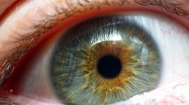 Iris Of The Eyeball Wallpaper