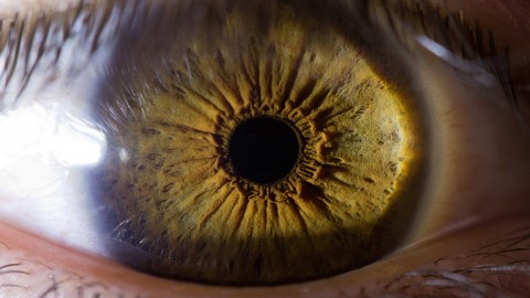 Iris Of The Eyeball wallpapers high quality