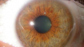 Iris Of The Eyeball Wallpaper Full HD