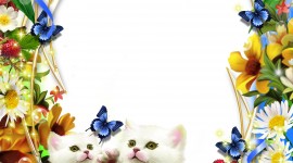 Kittens Frame Wallpaper For Mobile