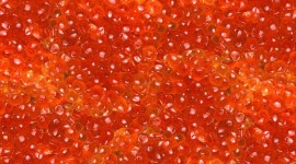 Red Caviar Wallpaper Download Free