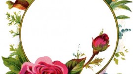 Rose Frames Wallpaper For Android#4