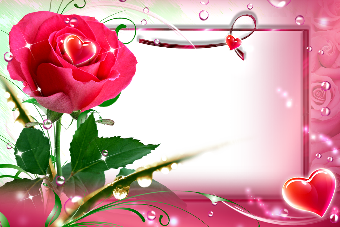 Rose Frames Wallpapers High Quality | Download Free